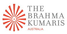 Member Organisation 8